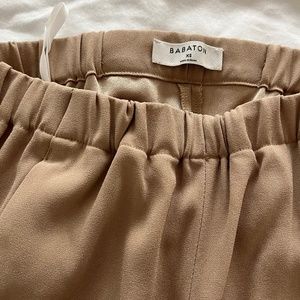 Aritzia dexter pants